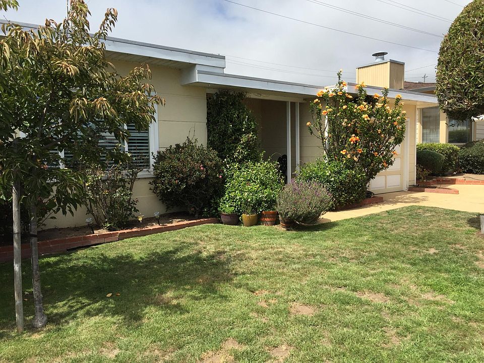 The front yard with Japanese Cherry tree and other flowering