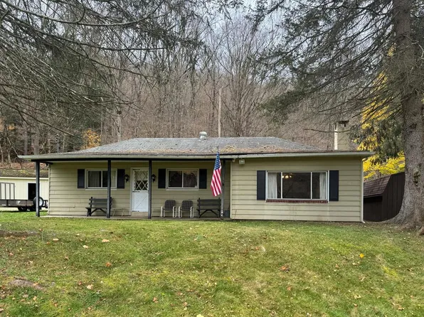 48 Here You Are Ln, Austin, PA 16720