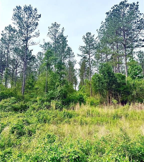 1st image of LOT 1 Lee Rd
