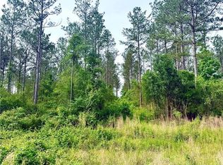 LOT 1 Lee Rd, Franklinton, LA 70438