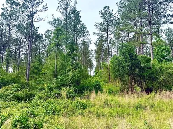 LOT 1 Lee Rd, Franklinton, LA 70438