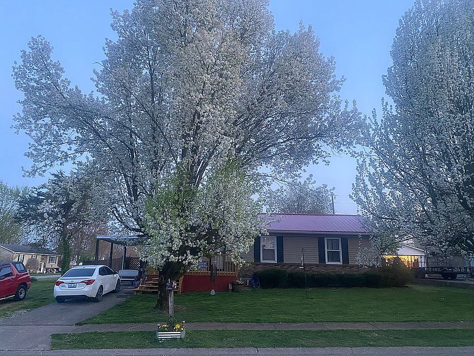 1st image of 1900 Wings Nolk St