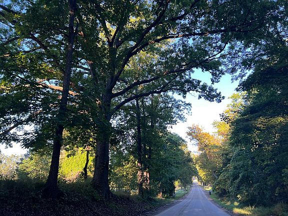 5th image of 7404 Herbst Rd