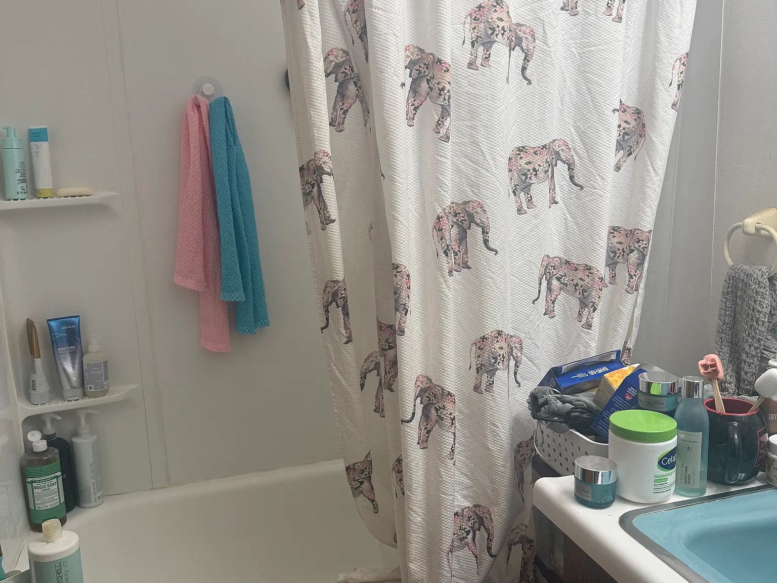 1 bed, 495 sqft, $1,050 — Photo 4