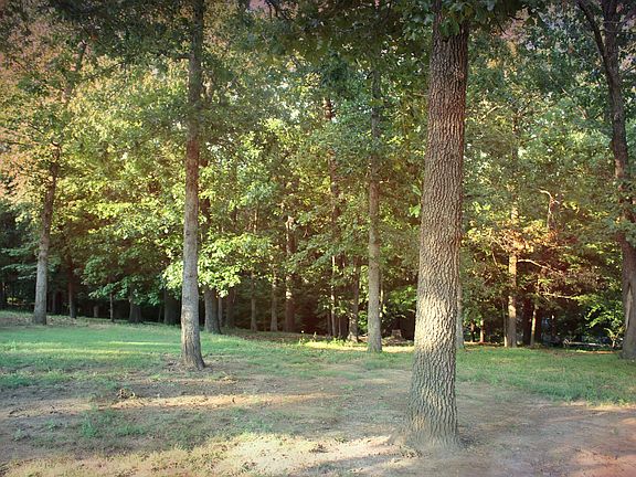 Bk yd w/wildlife