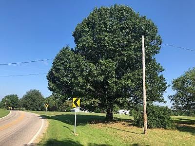 5th image of 23070 Highway 303