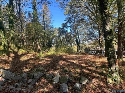 4 Smith Ln, Guntersville, AL, 35976