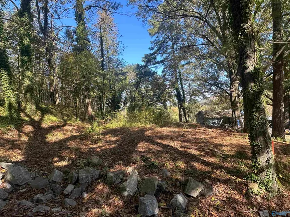 4 Smith Ln, Guntersville, AL 35976