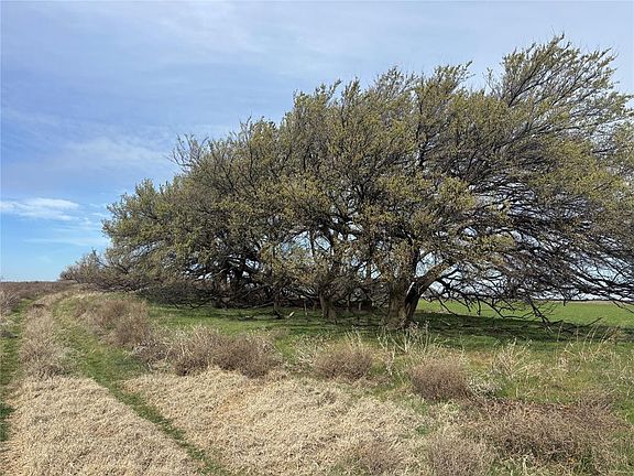 3rd image of Country Rd #450