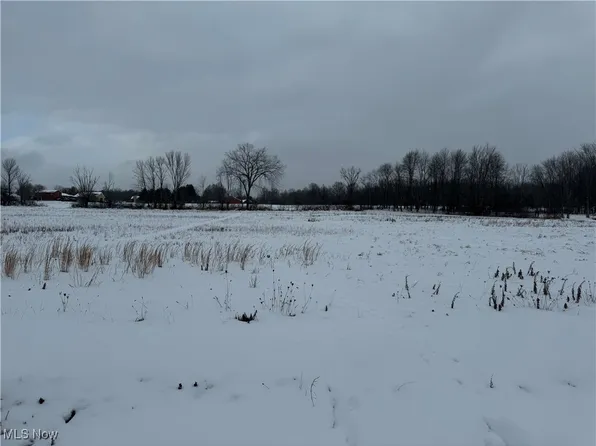 7489 Tallmadge Rd Parcel 1, Rootstown, OH 44272
