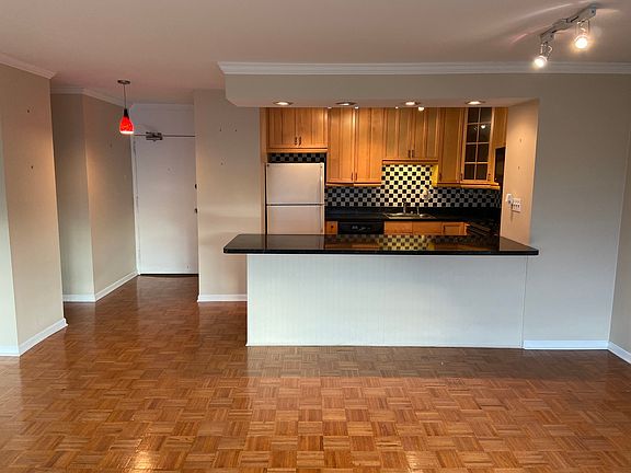 4th image of 1255 N Sandburg Ter Unit 1407
