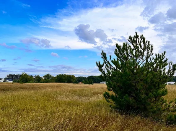 LOT 4 Anderson Blvd, Merrifield, MN 56465