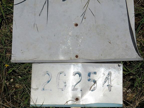 Lot 26254