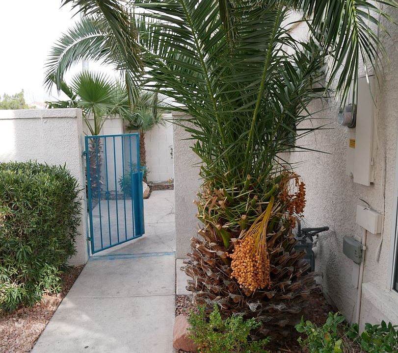 1st image of 900 Grammy Dr