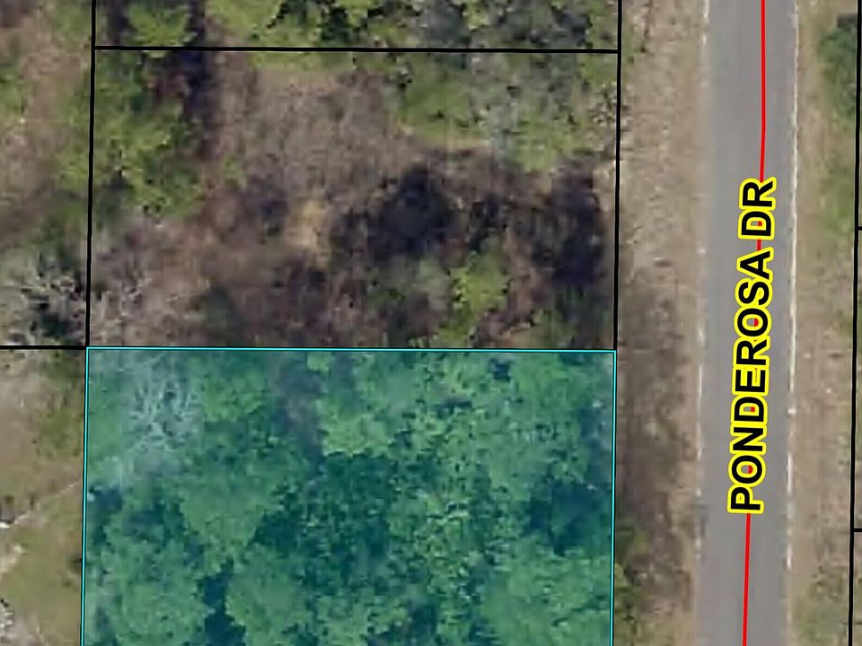 2nd image of Ponderosa Dr