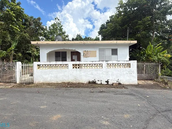 Carr 454 Int Callejones, Lares, PR 00669