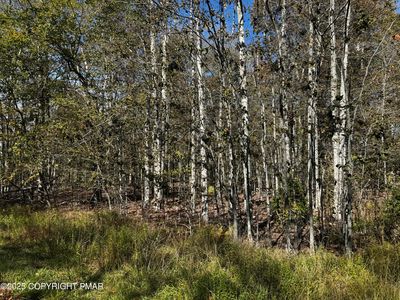Red Spruce Rd, Pocono Pines, PA, 18350