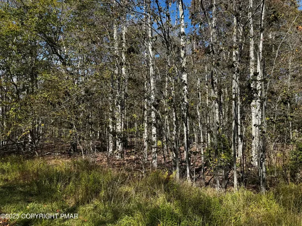 Red Spruce Rd, Pocono Pines, PA 18350