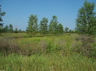 Vacant Minor Rd, Memphis, MI 48041