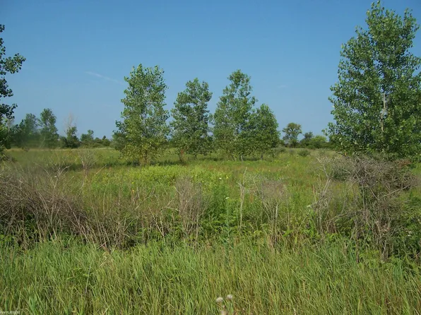Vacant Minor Rd, Memphis, MI 48041