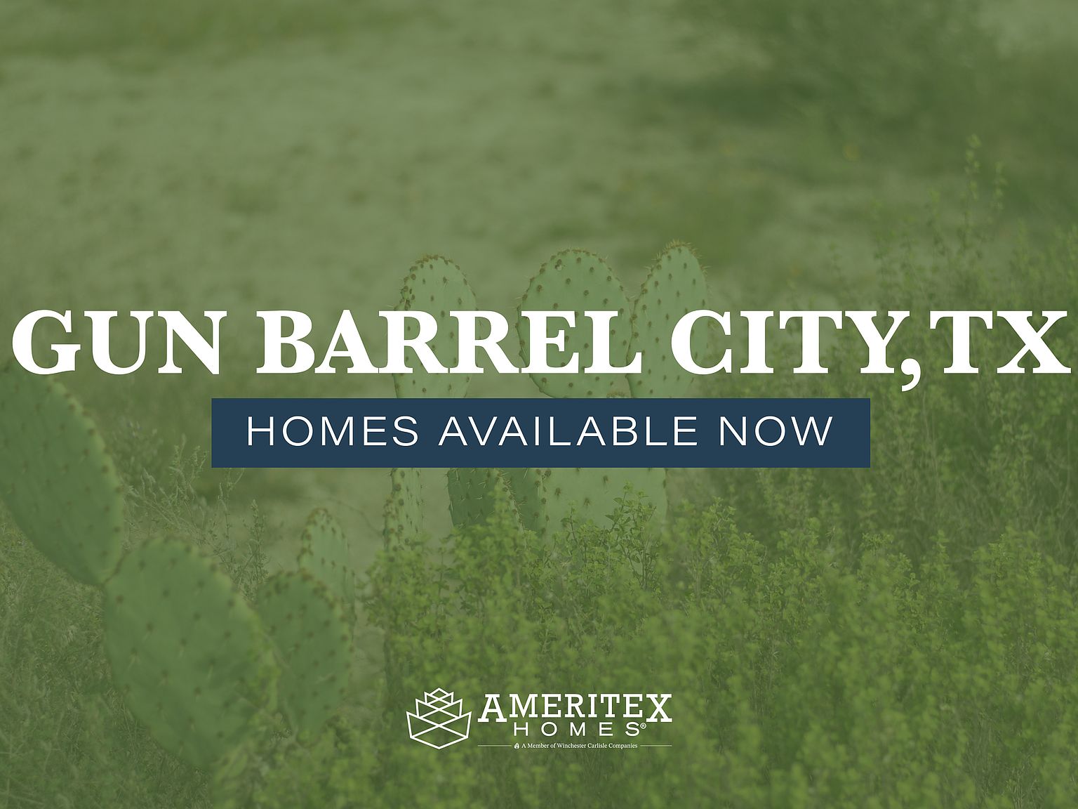Gun Barrel City by Ameritex Homes® in Mabank TX Zillow