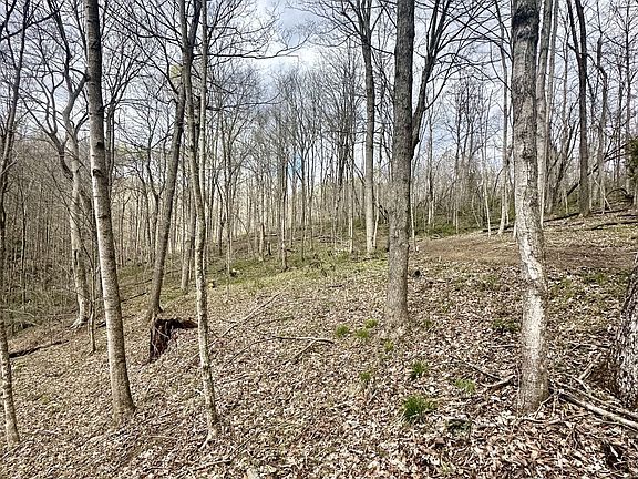 4th image of Little Kyger Rd