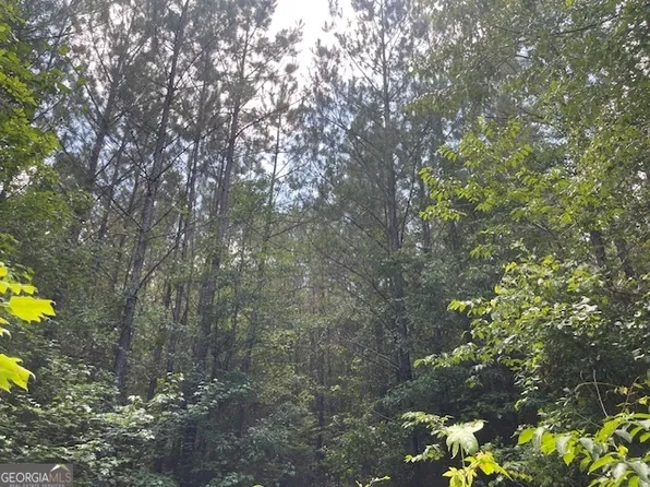 TRACT 3 Sheppard Rd #4, Franklin, GA 30217