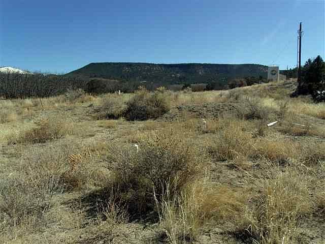 1st image of Lobo Cyn