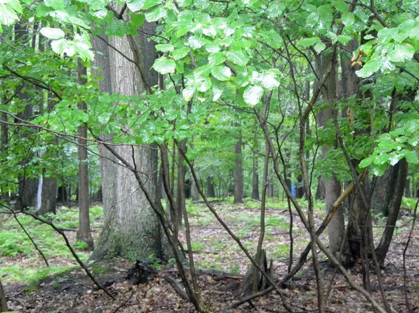 San Juan Rd, Du Bois, PA 15801