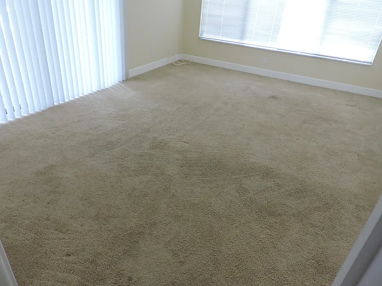 4529 Square Lake Dr — Photo 19