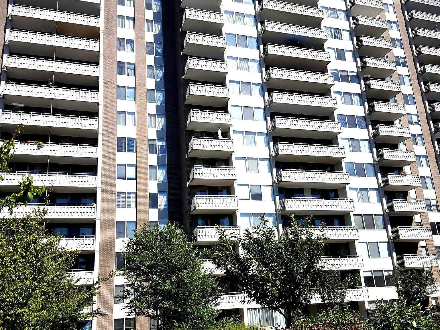 2 bed, 2.0 bath, 1336 sqft, $2,900 — Photo 2