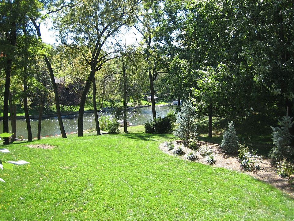 Back Yard in the Summer