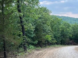 32 Simms Rd, Park Hills, MO 63601