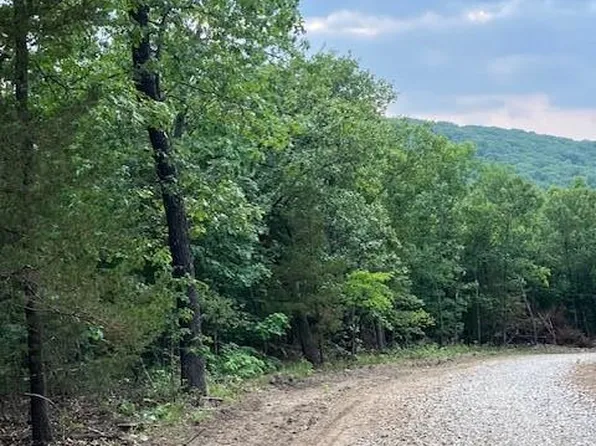 9 Simms Rd, Park Hills, MO 63601