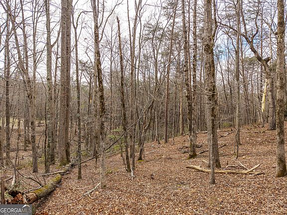 4th image of LOT 167 Henderson Mountain Rd