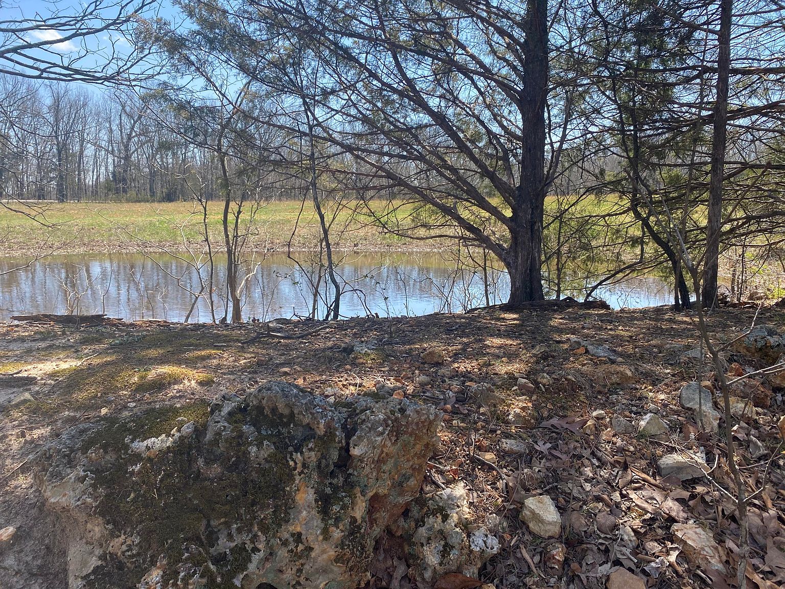 23951 Box 1137 Rural Route 5 Highway, Ava, MO 65608 Zillow