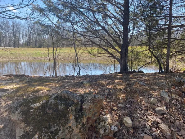 23951 Box 1137 Rural Route 5 Highway, Ava, MO 65608