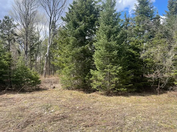 81620 Pociask Rd, Butternut, WI 54514