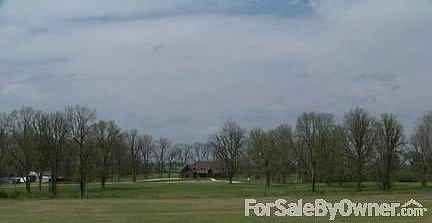 View of Property
						:
						This was taken from the levee and shows the property