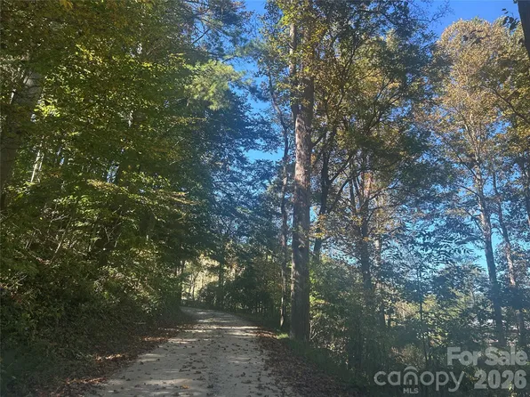 0 Split Pine Cv, Clyde, NC 28721