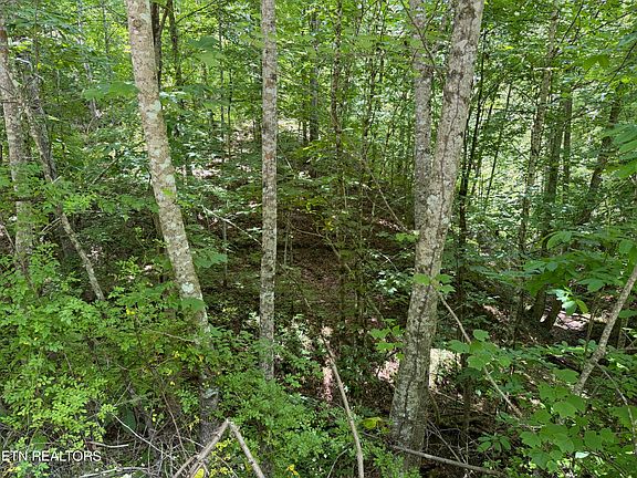 4th image of 0 Mountain Shores Rd