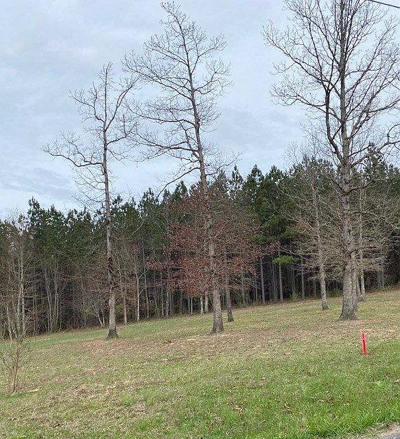 2nd image of LOT 1C New Harmony Rd