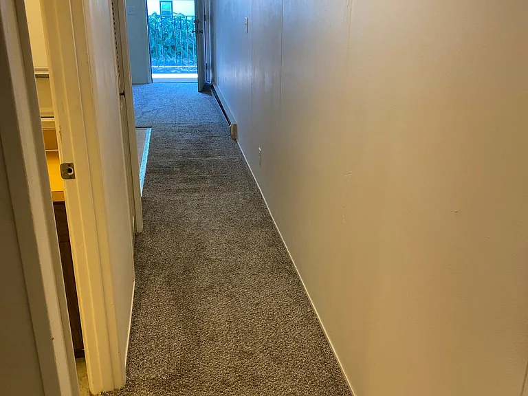 1017 S Division St #22 — Photo 5