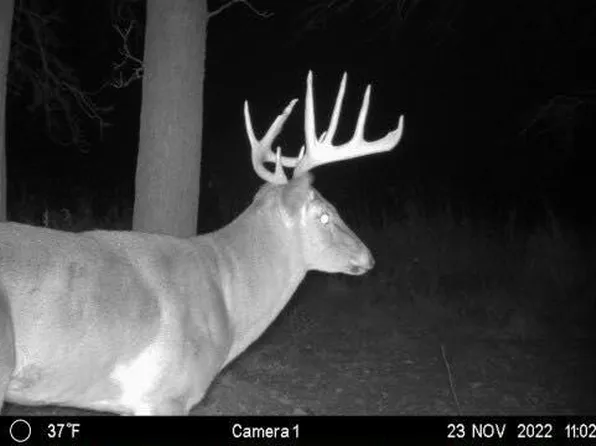 0 Stearns Rd, Somerset, MI 49281