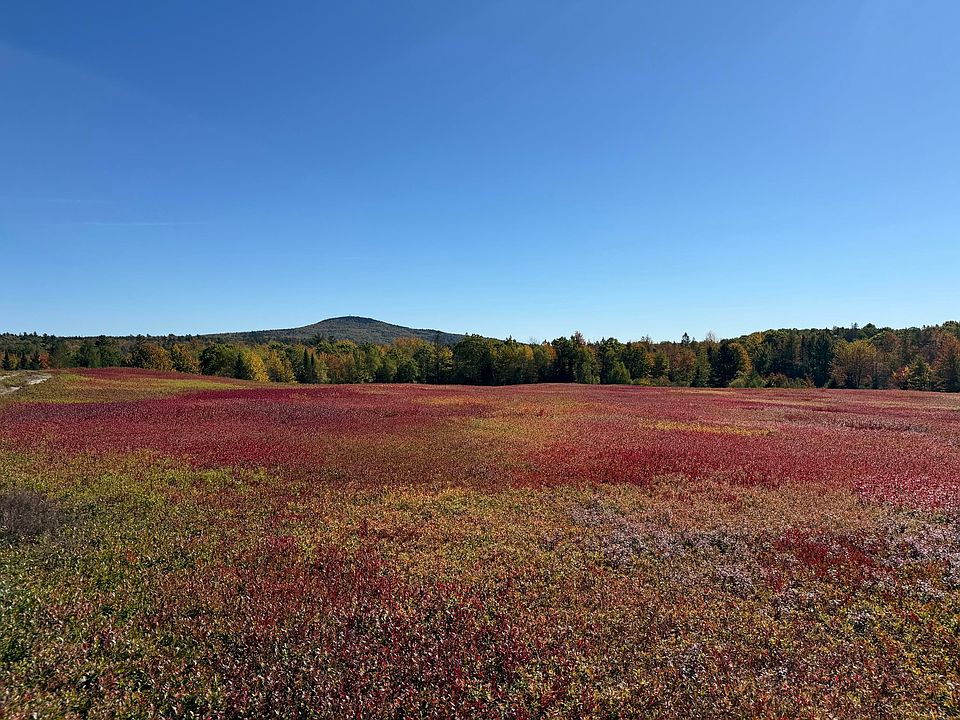 1st image of MAP31LOT29 Land-Perkins