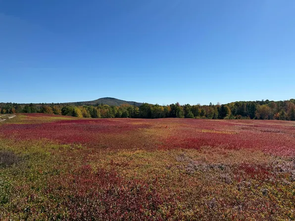 MAP31LOT29 Land-Perkins, Blue Hill, ME 04614