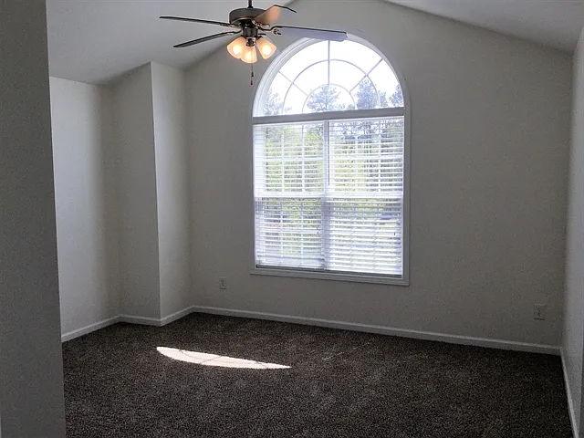 3912 Carolina Cherry Dr — Photo 9