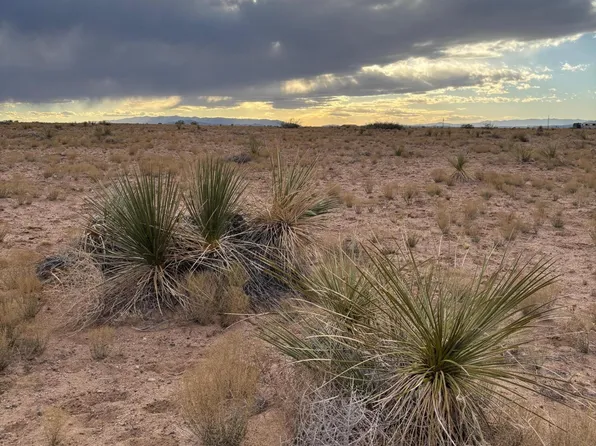 Gardenia Street Block Lot 1-513, Veguita, NM 87062