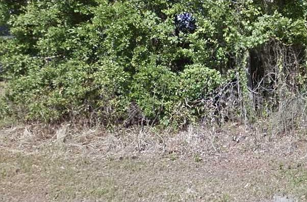 1st image of 2663 E Lartigue Ave