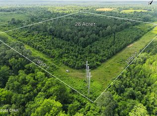 0 Donald Rd, Sneads, FL 32460